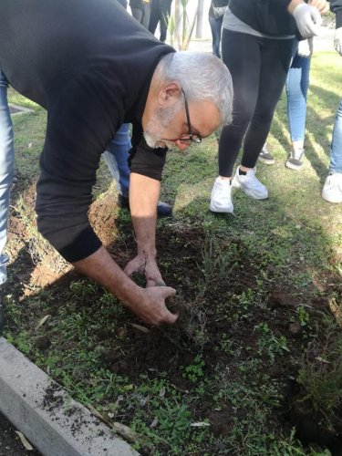 albero-piantato-collaboratore-scolastico-itesolivettilecce