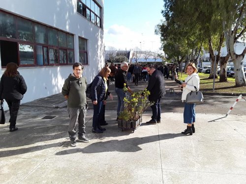 manifestazione-riscaldamento-globale-itesolivettilecce