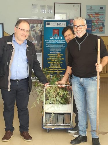 piantare-alberi-itesolivettilecce
